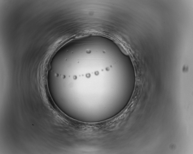 X0000102860193200808181450