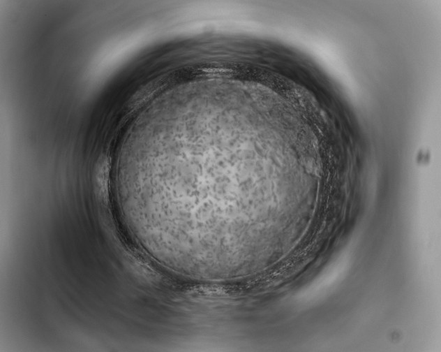 X0000102860194200808181450