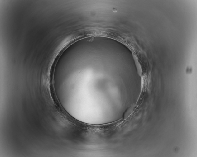 X0000102860195200808181450