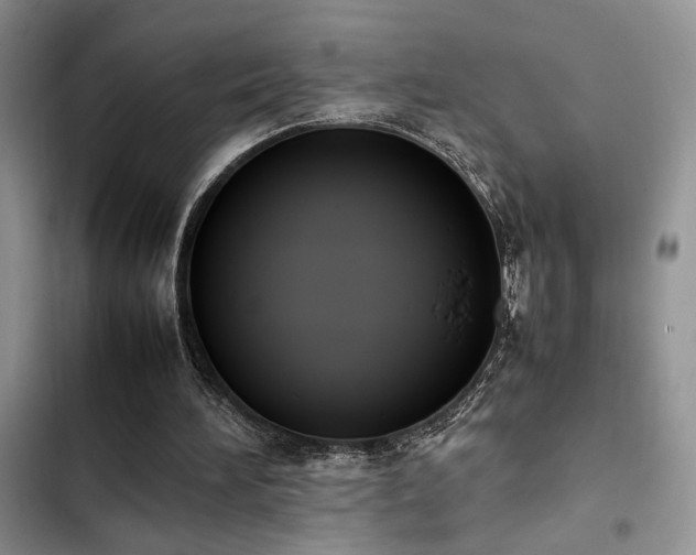 X0000102860196200808181450