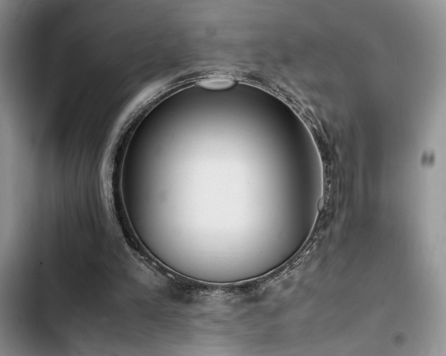 X0000102860197200808181450