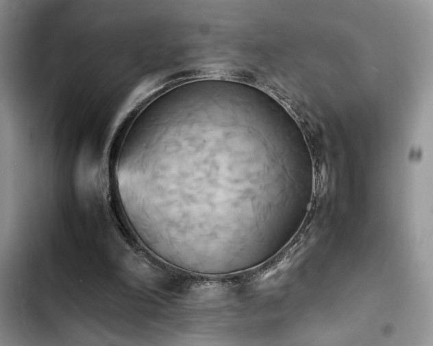 X0000102860198200808181450