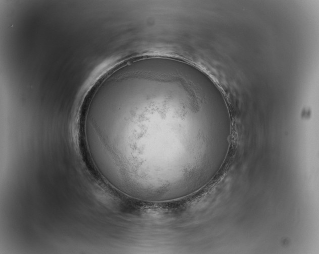 X0000102860199200808181450