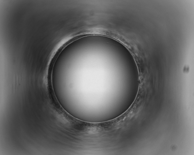 X0000102860200200808181450