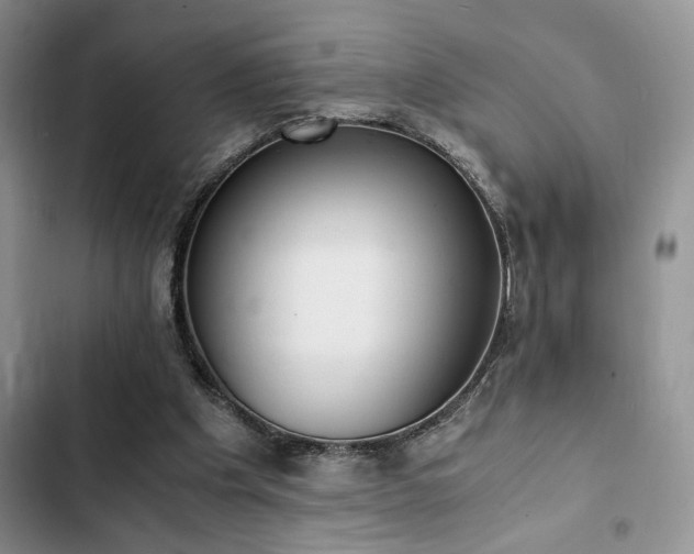 X0000102860201200808181450