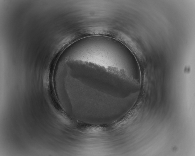 X0000102860202200808181450