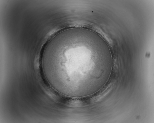 X0000102860203200808181450