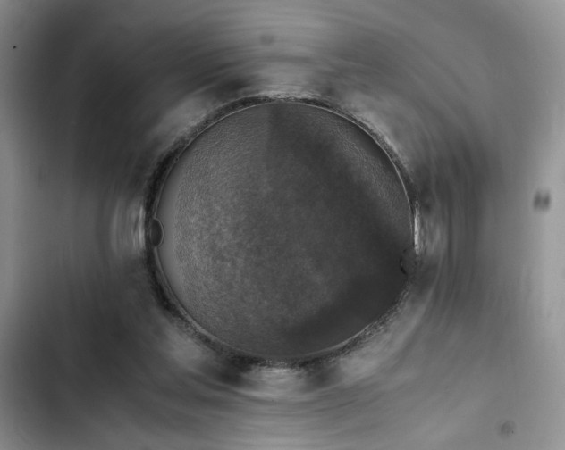 X0000102860205200808181450