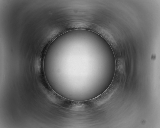 X0000102860206200808181449