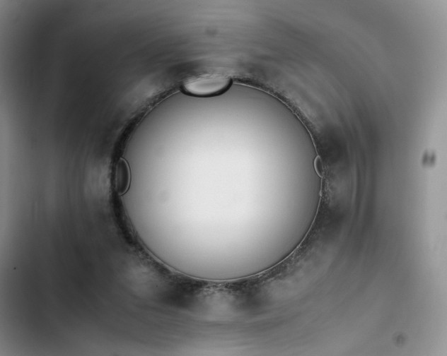 X0000102860207200808181449