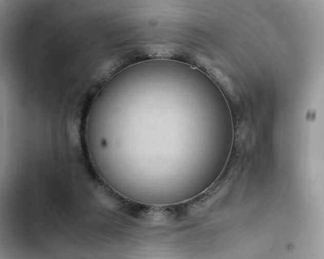 X0000102860209200808181449