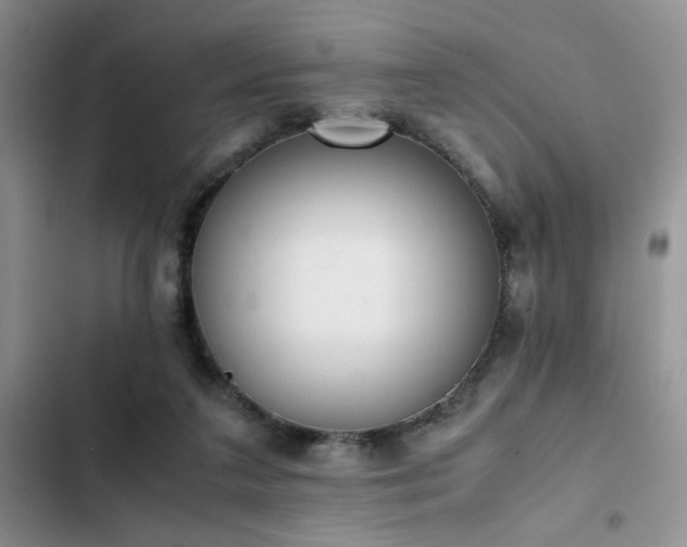 X0000102860211200808181449