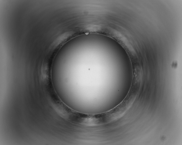 X0000102860212200808181449