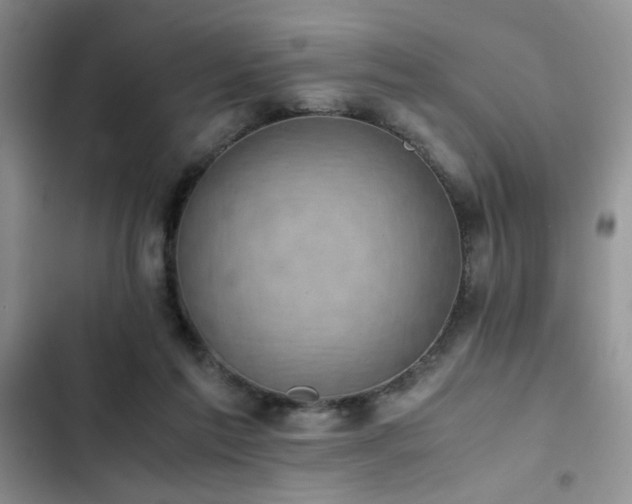 X0000102860213200808181449