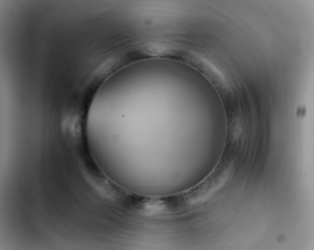 X0000102860214200808181449