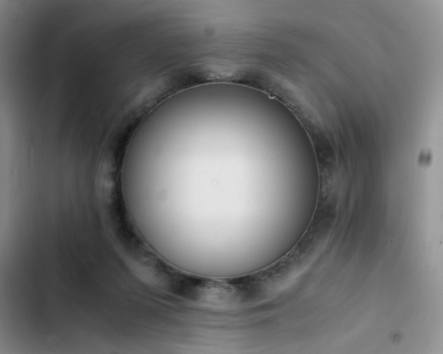 X0000102860215200808181449