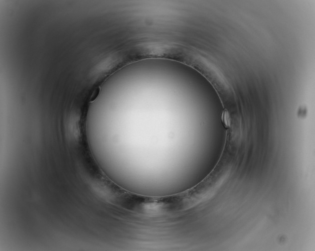 X0000102860216200808181449