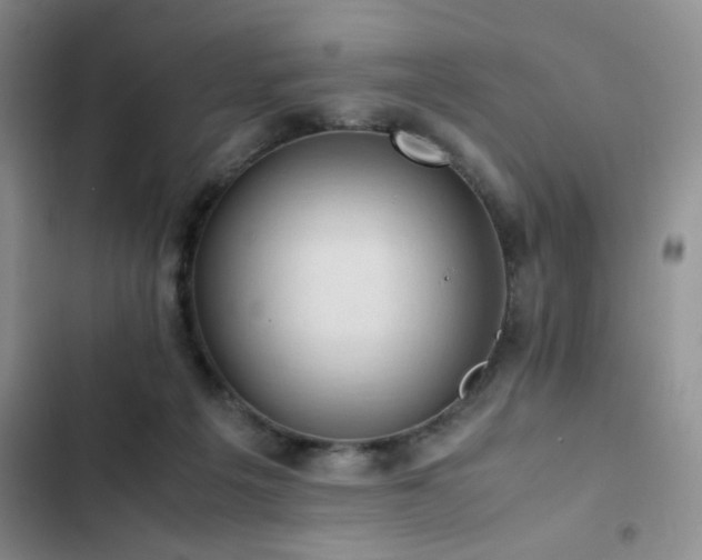 X0000102860217200808181449