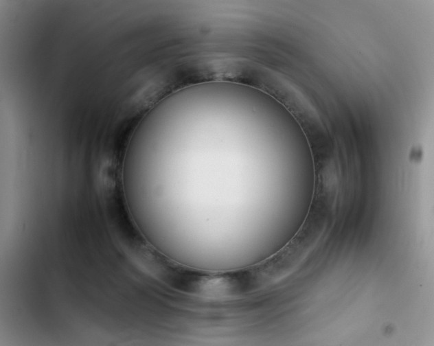 X0000102860218200808181449