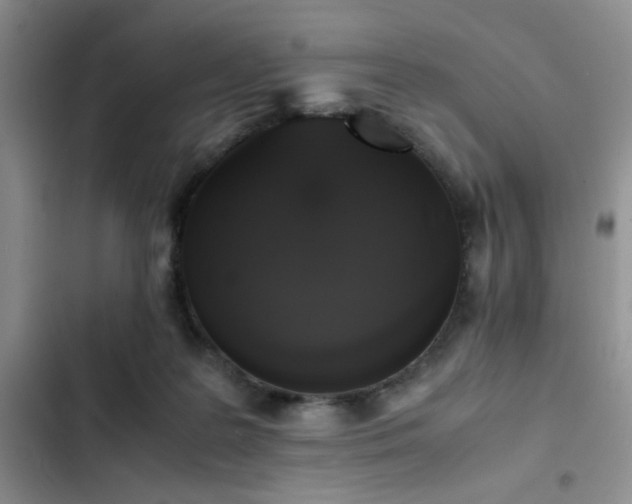 X0000102860219200808181449