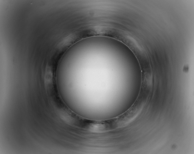 X0000102860220200808181449