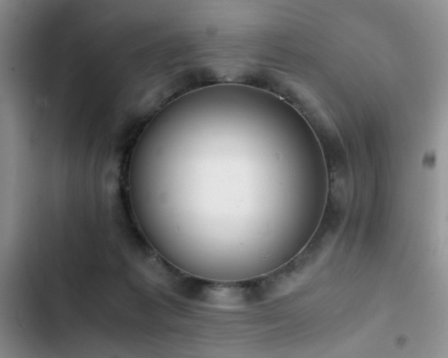 X0000102860221200808181449