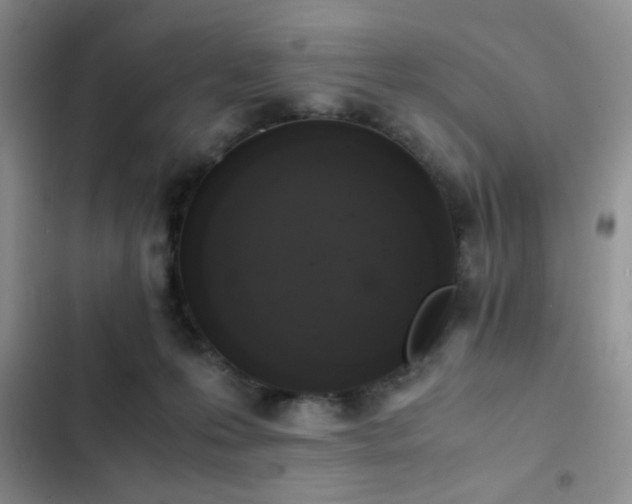 X0000102860223200808181449