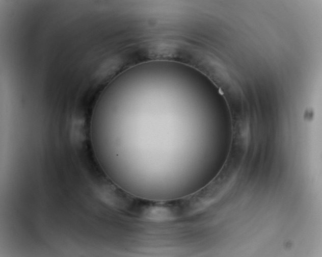 X0000102860224200808181449