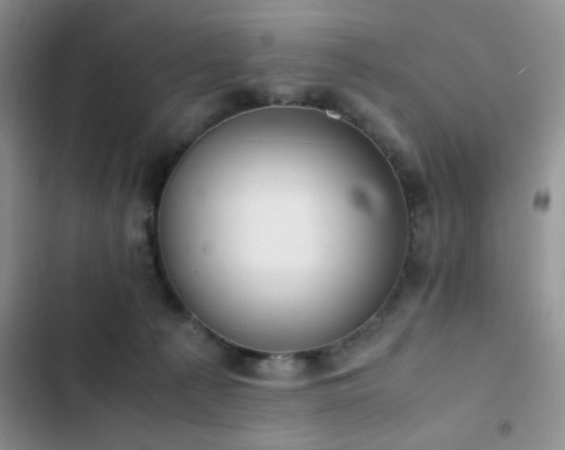 X0000102860225200808181449