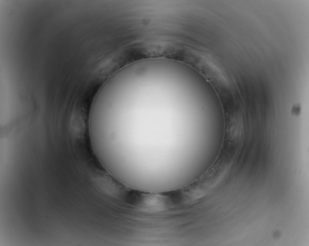 X0000102860226200808181449