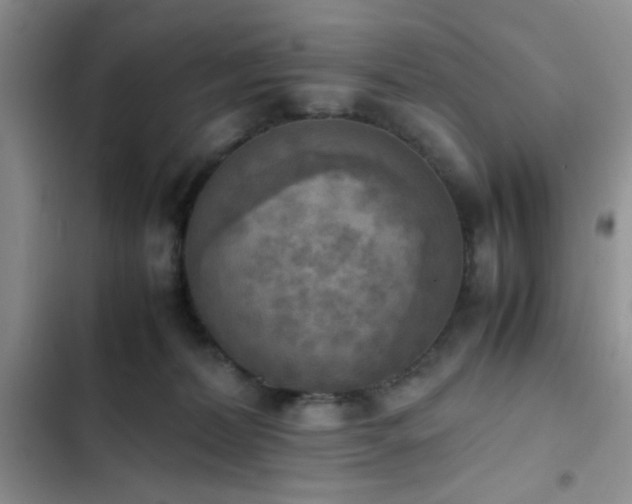 X0000102860228200808181449