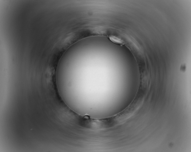 X0000102860229200808181449