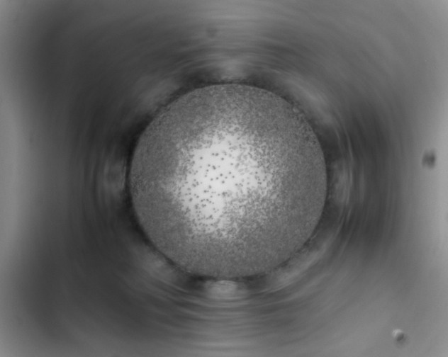 X0000102860230200808181449