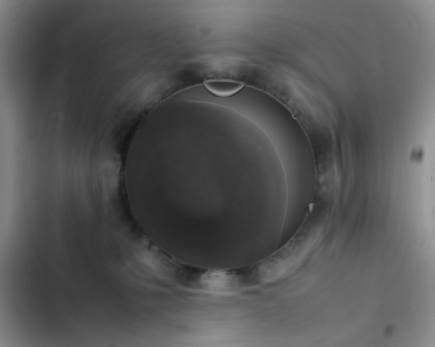 X0000102860231200808181449