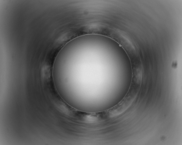 X0000102860232200808181449