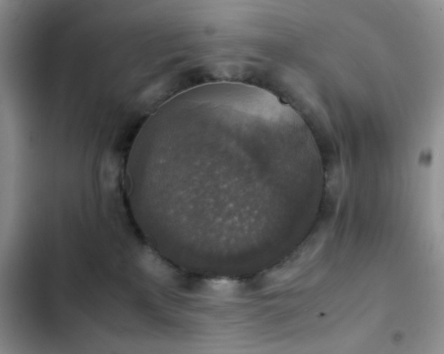 X0000102860233200808181449