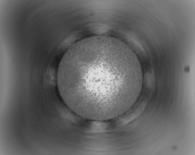 X0000102860234200808181449