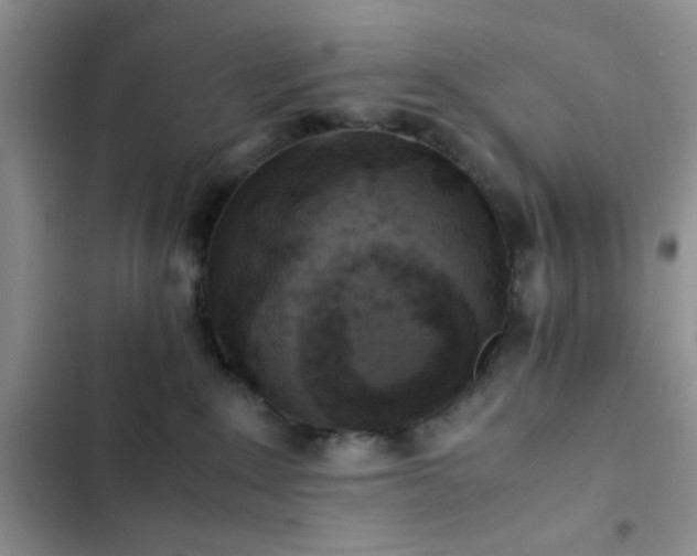 X0000102860235200808181449