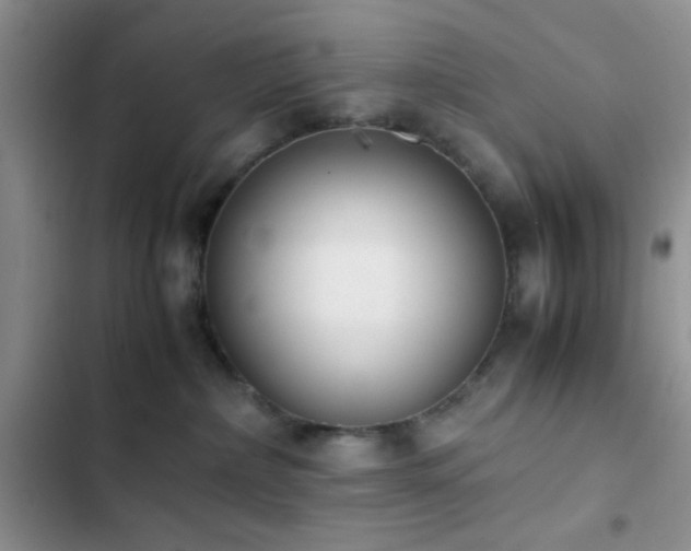 X0000102860236200808181449