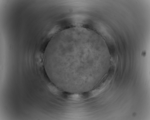 X0000102860237200808181449