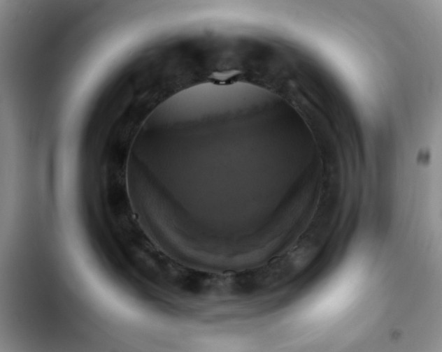 X0000102860239200808181449