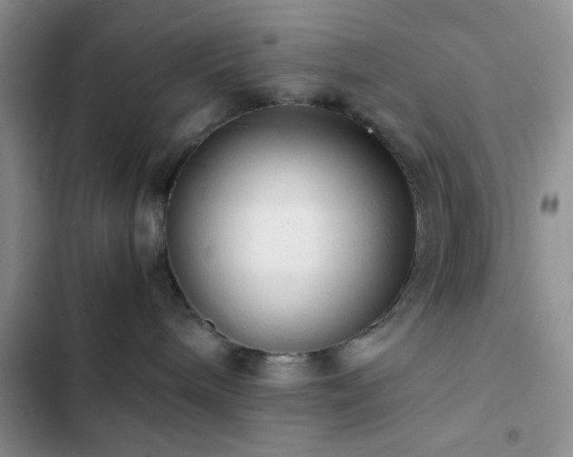 X0000102860240200808181449