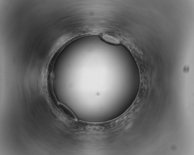 X0000102860242200808181448