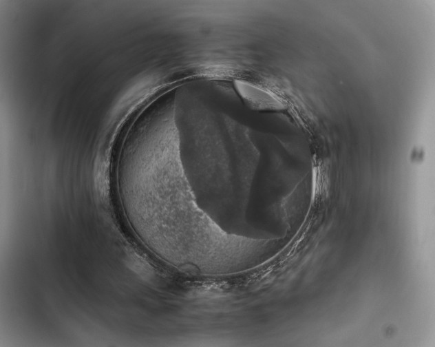 X0000102860243200808181448