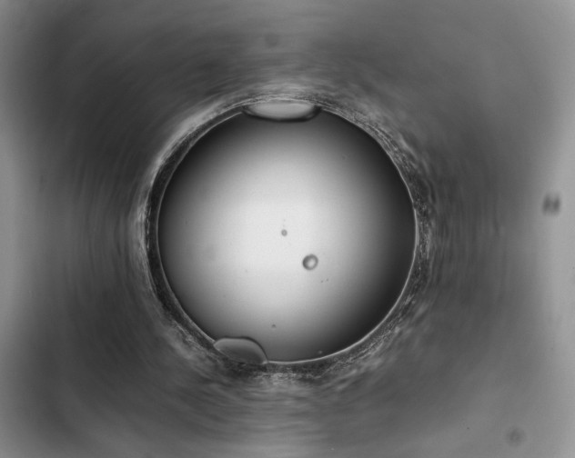 X0000102860244200808181448