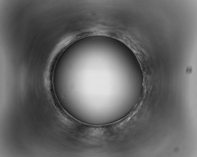 X0000102860245200808181448