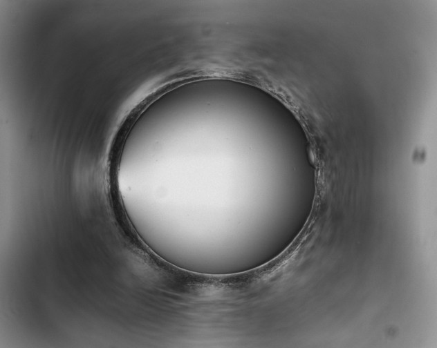 X0000102860246200808181448