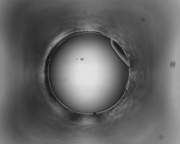 X0000102860248200808181448