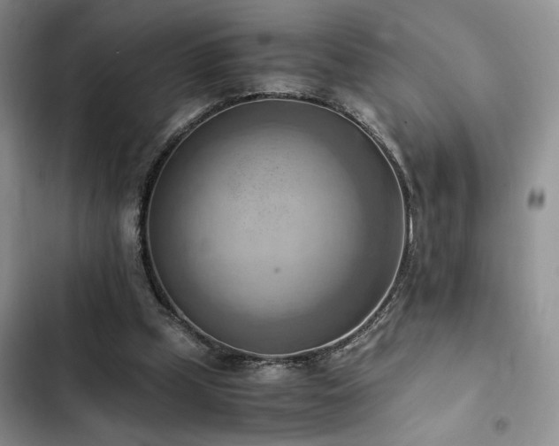 X0000102860249200808181448