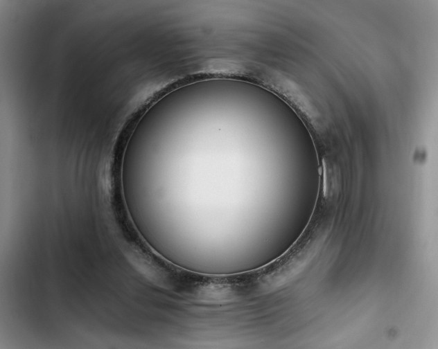 X0000102860252200808181448